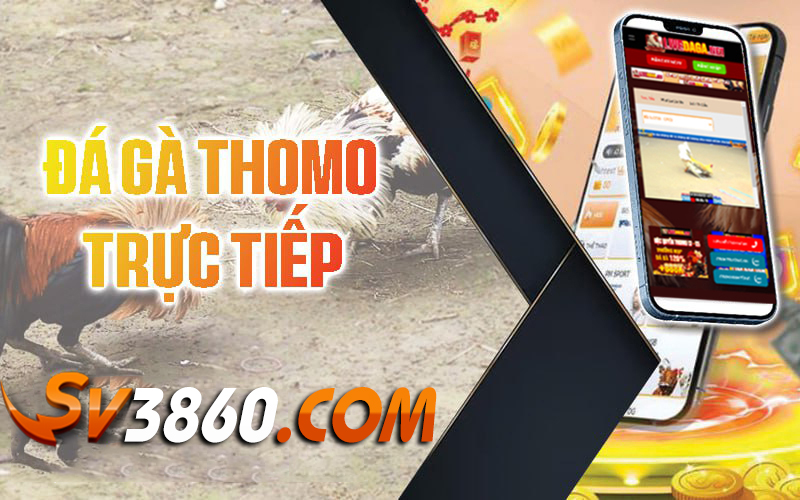 Truc-tiep-da-ga-sv3860-Truc-tiep-Thomo-hang-ngay