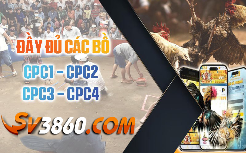 Truc-tiep-day-du-cac-bo-ga-sv3860